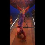 Cirque du Soleil & SAP Soars Towards the Cloud
