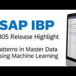 Discover Patterns in Master Data Using Machine Learning | SAP IBP 2305 Release Highlight