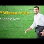 Benutzerakzeptanz und Produktivität mit SAP Enable Now (German)