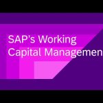 SAP’s Working Capital Management Strategie (English)
