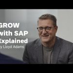 GROW with SAP Explained in 3 Levels of Difficulty