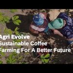 Sustainable Coffee Farming