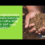 Agroalimentaire : Ocealia bascule vers l’offre RISE with SAP avec PASàPAS (French)