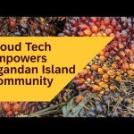 Cloud Technology Empowers Ugandan Island Community