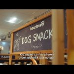 Met SAP S/4HANA naar nieuwe hoogten: Beeztees' investering in toekomstbestendigheid (Dutch)