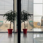 Using a Single SAP System for Intercompany Stock Transport Order Processes