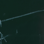 Configuring Ad Hoc Issue Management in SAP Process Control