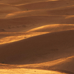 How to Prepare for an SAP BW/4HANA Remote Conversion