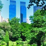 De-Risking Central Finance: How DFRA™ Solves Real-World SAP Central Finance Challenges