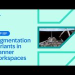 Segmentation Variants in Planner Workspaces in SAP IBP | 2508 Release Highlights & Demo