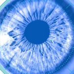 From Monitoring to Intelligence: The Next Evolution of SAP Basis with AI