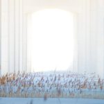 SAP BTP Best Practices: Structure of an Account Model