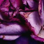 Common SAP Fiori App Issues in SAP GRC (and What They Indicate)