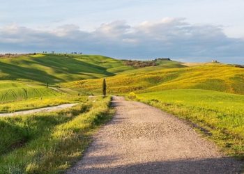migration-options-for-moving-to-sap-s/4hana