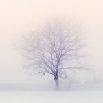 What Is SAP Snowflake?