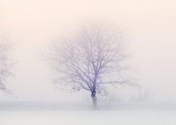 what-is-sap-snowflake?